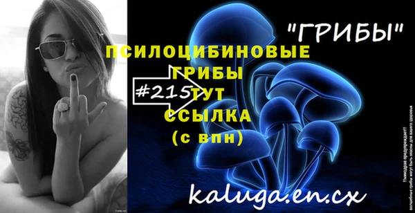 спайс Абаза