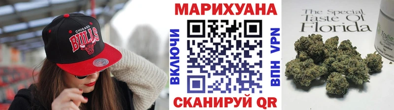 где купить наркоту  Юрга  Конопля ГИДРОПОН 